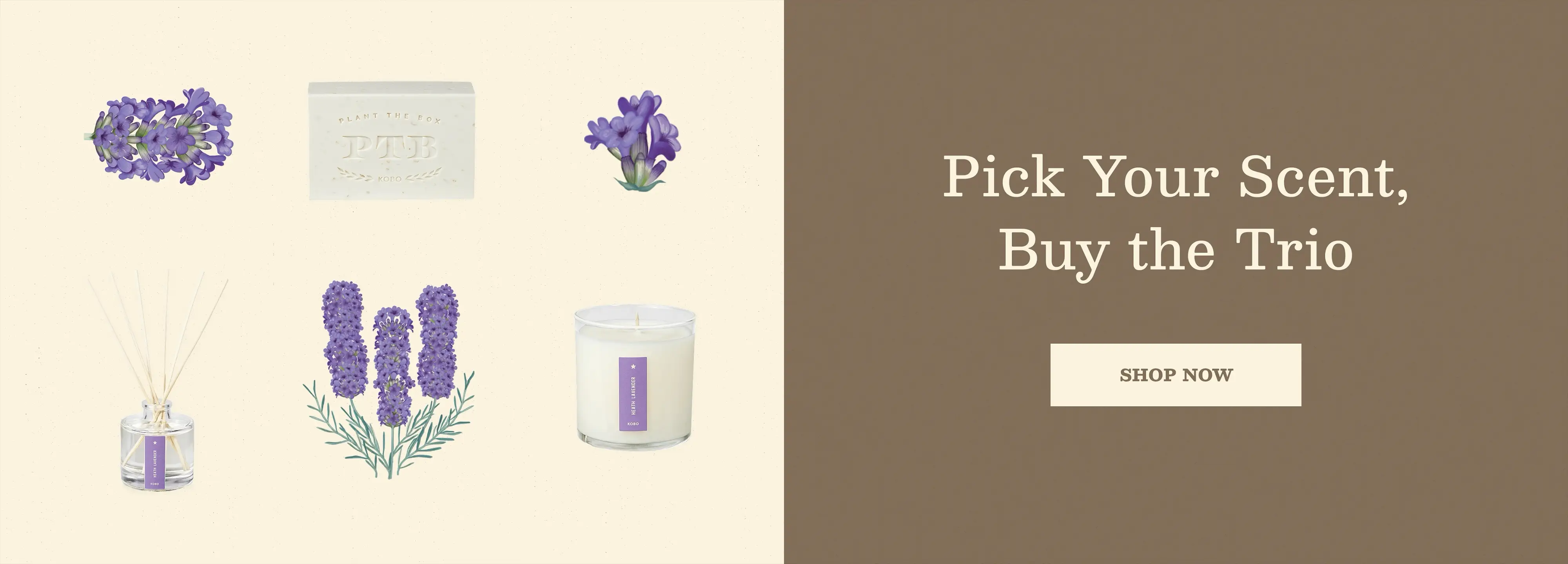 Aromatic Artistry for Your Home